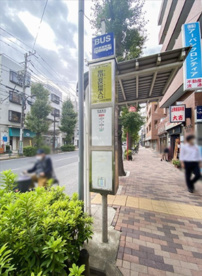 世田谷区役所入口バス停(渋谷行き)の画像1