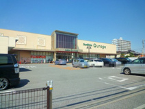 SunShine(サンシャイン) クラージュ店