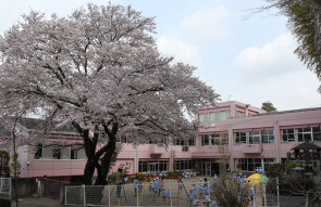 さくらい幼稚園の画像1