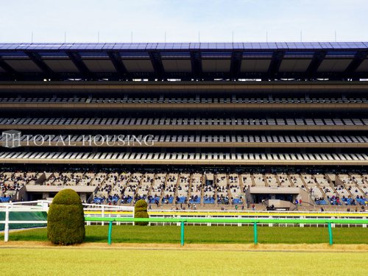 東京競馬場の画像2