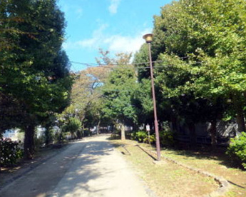 玉川上水旧水路緑道の画像1