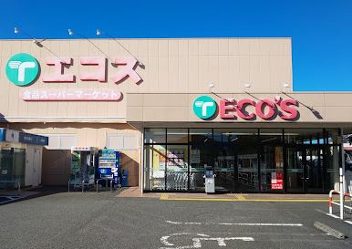 エコス 城山店の画像1