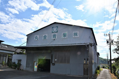 丸金青果店の画像1