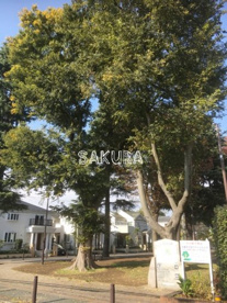井田こもれび公園の画像1