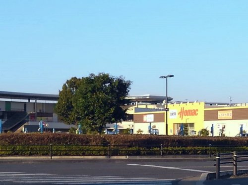 の画像