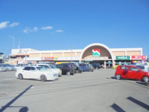 ナンコクスーパー 高須店