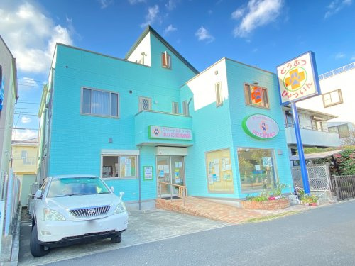 おかだ動物病院