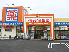 新星堂薬局の画像1