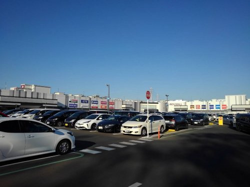 の画像