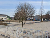 小島西公園