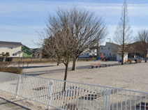 小島西公園