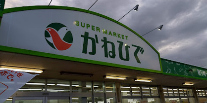 タウンプラザかねひで真栄里店の画像1