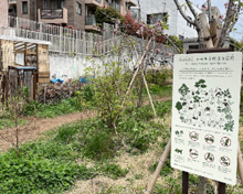 世田谷区立 シモキタのはら広場