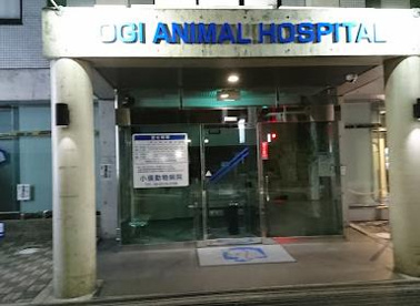 小儀動物病院の画像1