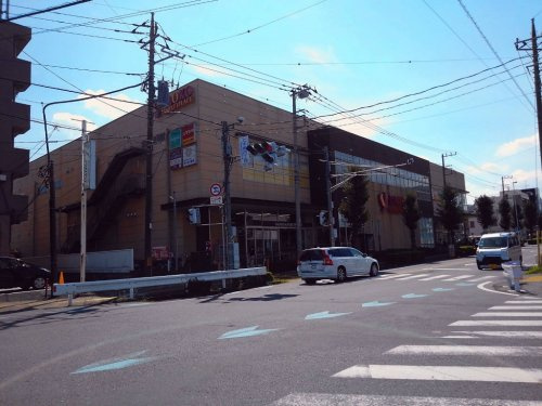 の画像