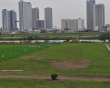 スポーツ施設 鵜の木緑地球技場