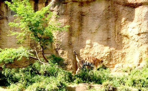 多摩動物公園の画像