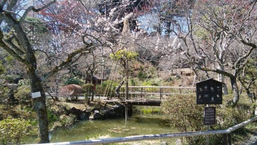 京王百草園の画像