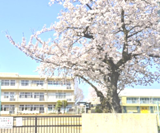 仁手小学校１の画像1