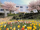 宇部市立藤山小学校