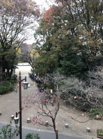 区立蚕糸の森公園の画像1