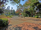 三ツ沢公園の画像