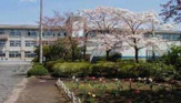 松枝小学校