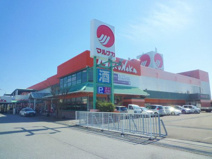 マルナカ野市店