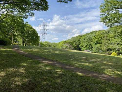 都立桜ヶ丘公園