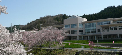 石川小学校の画像1