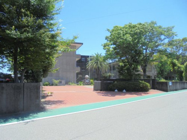 伊野中学校の画像1