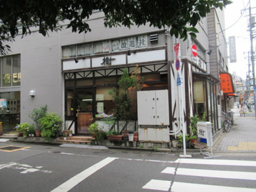 樹の画像1