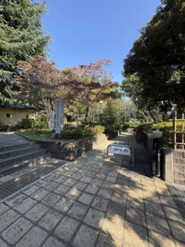 菅刈公園の画像2