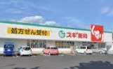 スギドラッグ 上植野店の画像1