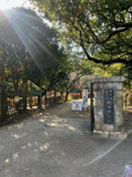 駒場野公園