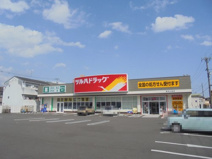 ツルハドラッグ 高知比島店