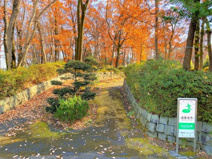狭山市/狭山台中央公園