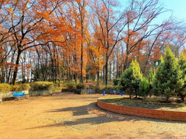 狭山市/狭山台中央公園の画像2