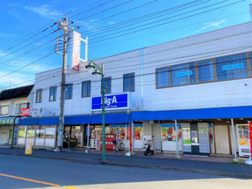 ビッグ・エー/狭山台店の画像1