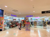 ザ・ダイソー イオンタウン諏訪の森店
