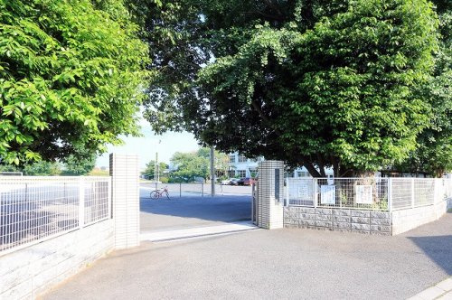の画像