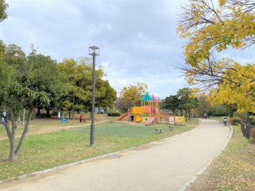 霞ケ丘公園の画像2