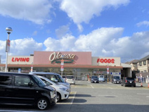 オークワ 高石羽衣店
