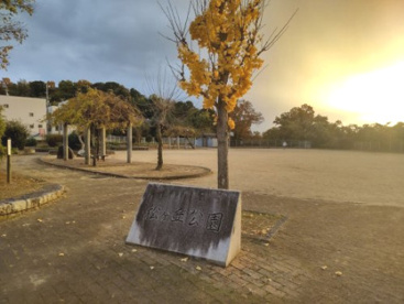 松ヶ丘公園の画像1