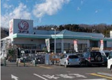 コメリハード&グリーンあきる野伊奈店