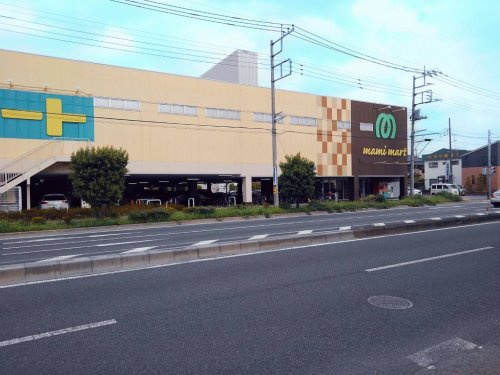 の画像