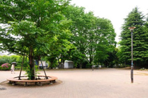 駒沢緑泉公園
