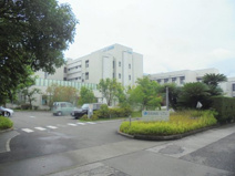 土佐病院