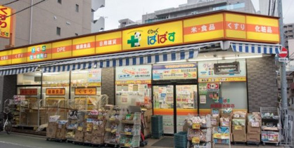 どらっぐぱぱす 板橋清水町店の画像1