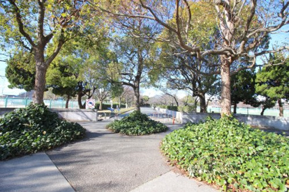 金岡公園の画像2